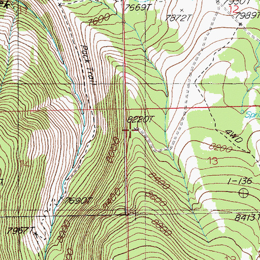 Topographic Map of Empire Mine, NV