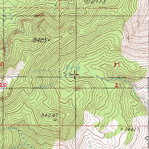 Topographic Map of Red Mountain Spring, NV