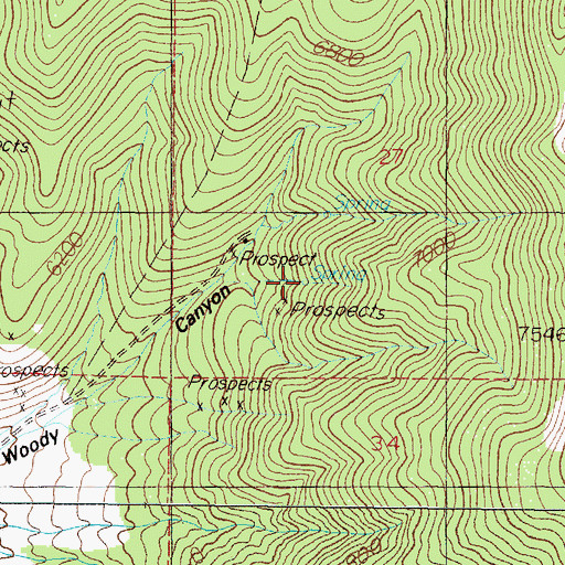 Topographic Map of Packard Gulch Spring, NV