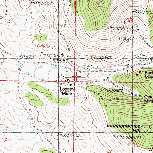 Topographic Map of Looney Mill (historical), NV