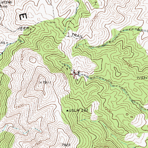 Topographic Map of Silvermonial Mine, NV