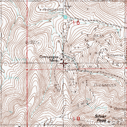 Topographic Map of Leopard Mine, NV