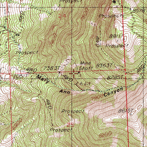 Topographic Map of Black Mule Mine, NV