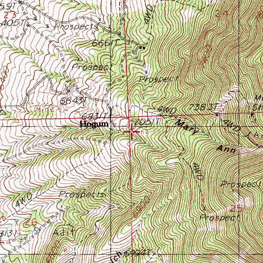 Topographic Map of Hogum Mines, NV