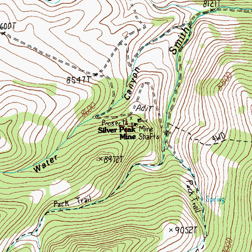 Topographic Map of Silver Peak Mine, NV