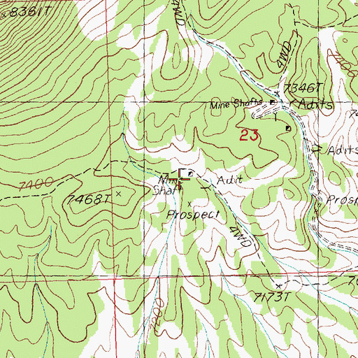 Topographic Map of Black Horse Mine, NV