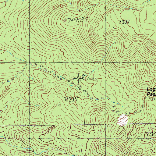 Topographic Map of Rosario Mine, NV