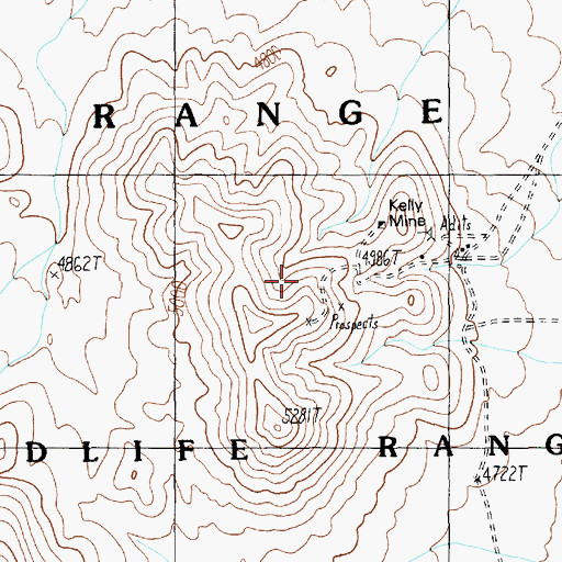 Topographic Map of Papoose Mining District, NV