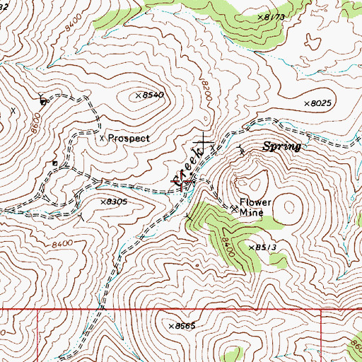 Topographic Map of Flowers Camp, NV