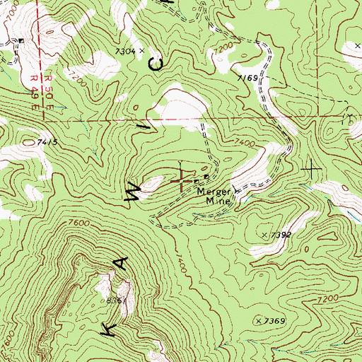 Topographic Map of Peterson Mine, NV