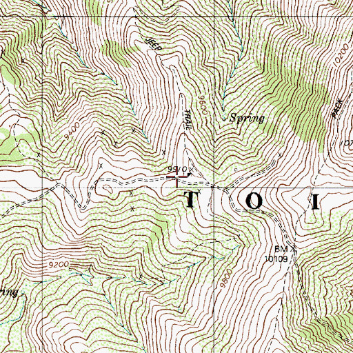 Topographic Map of Gruss Mine, NV
