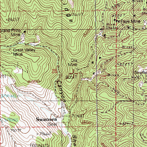 Topographic Map of Vernon Mill (historical), NV