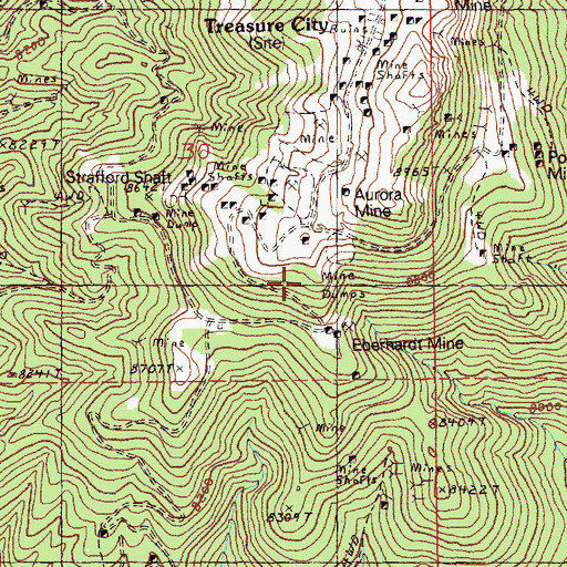 Topographic Map of White Pine City (historical), NV