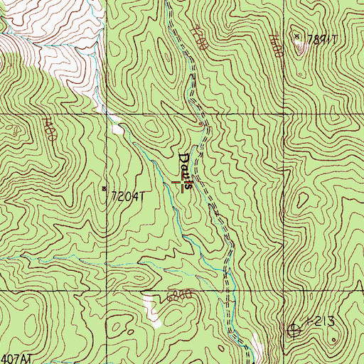 Topographic Map of Davis Mine, NV
