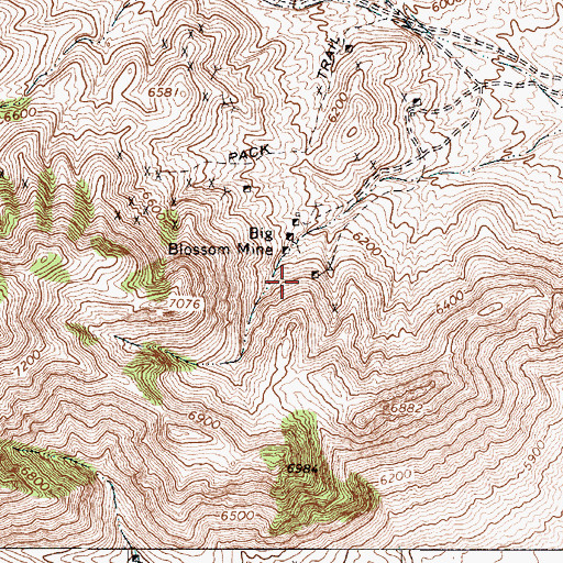 Topographic Map of Wylie Green Mine, NV