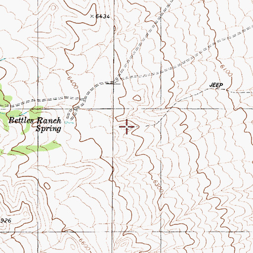 Topographic Map of Tree Spring, NV