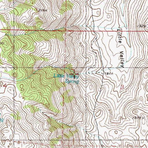 Topographic Map of Little Valley Spring, NV