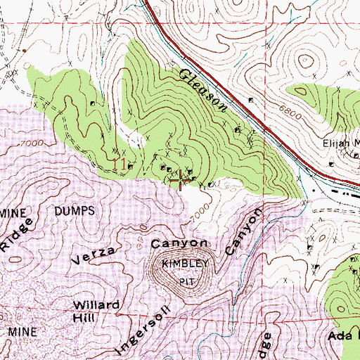 Topographic Map of Willard Mine, NV