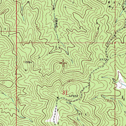 Topographic Map of Manhattan Mining District, NV
