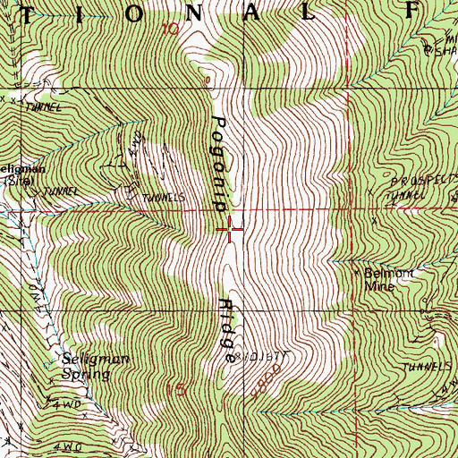 Topographic Map of McEllen Mine, NV