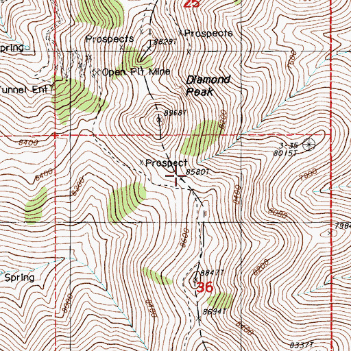 Topographic Map of Diamond Mine, NV