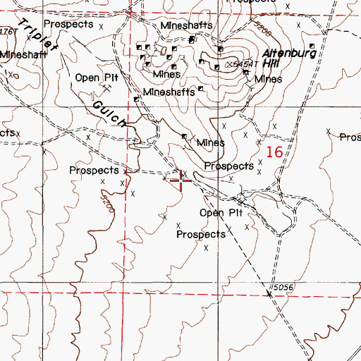 Topographic Map of Altenburg Placer Mine, NV