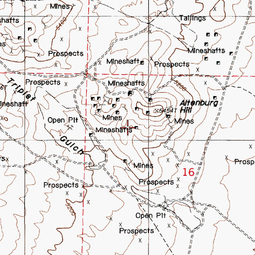 Topographic Map of Altenburg Mine, NV