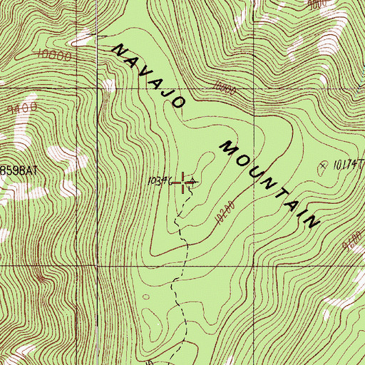Topographic Map of Navajo Mountain, UT