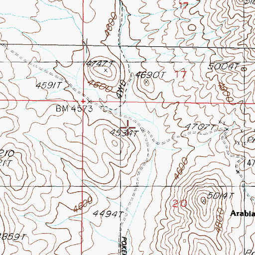 Topographic Map of West Group Mine, NV