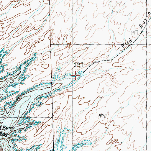 Topographic Map of Wild Burro Wash, NV