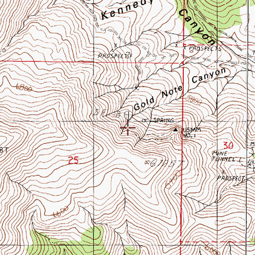 Topographic Map of Gold Note Mine, NV