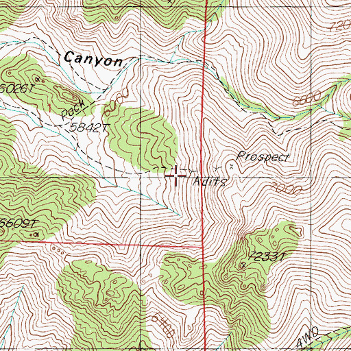 Topographic Map of Rusty Pick Mine, NV
