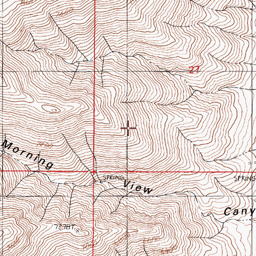 Topographic Map of True American Mine, NV