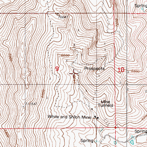 Topographic Map of Bon Ami Mine, NV
