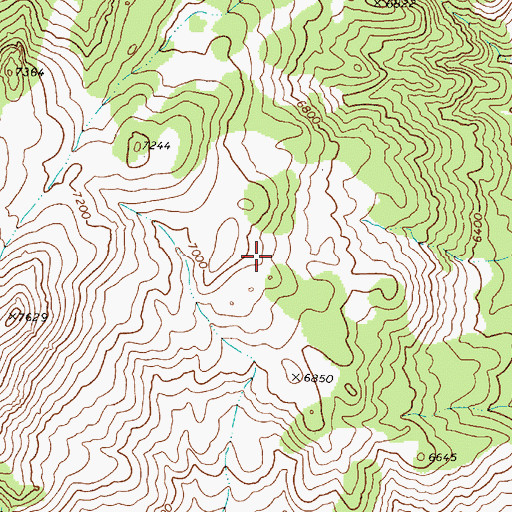 Topographic Map of Rast Mine, NV
