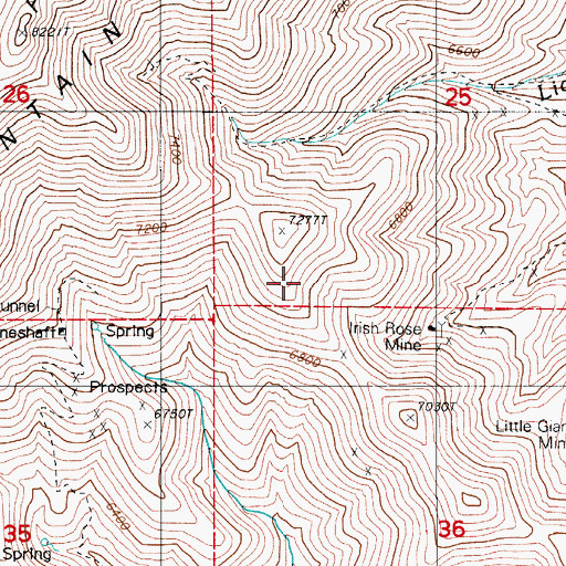 Topographic Map of Piute Mine, NV