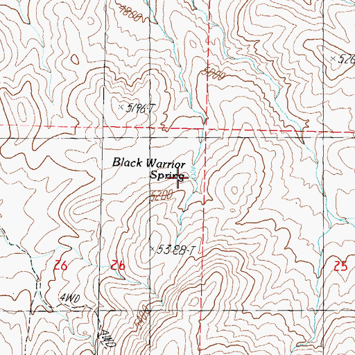 Topographic Map of Black Warrior Spring, NV