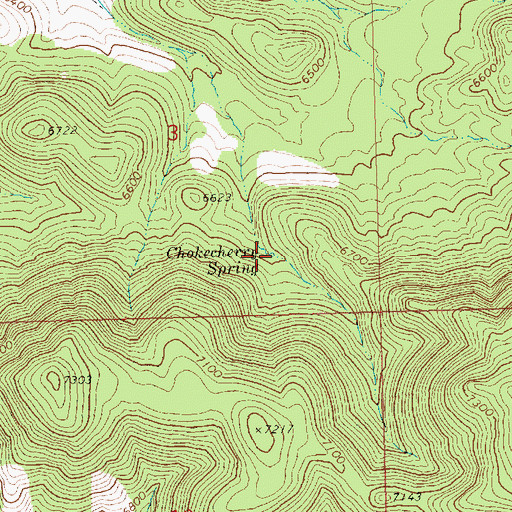 Topographic Map of Chokecherry Spring, NV