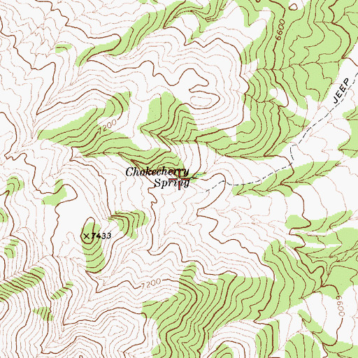 Topographic Map of Chokecherry Spring, NV