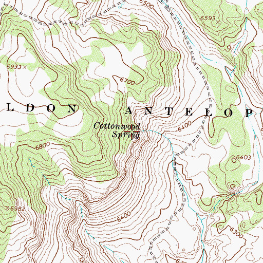 Topographic Map of Cottonwood Spring, NV