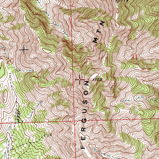 Topographic Map of Ferguson Mountain, NV
