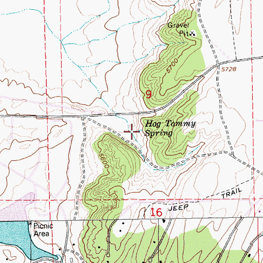 Topographic Map of Hog Tommy Spring, NV