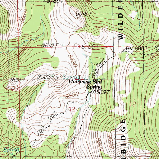 Topographic Map of Humming Bird Spring, NV