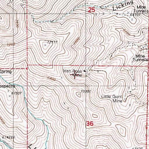 Topographic Map of Irish Rose Mine, NV