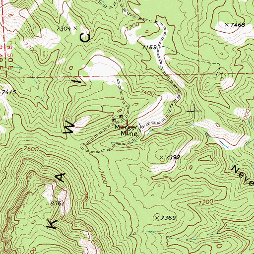 Topographic Map of Merger Mine, NV