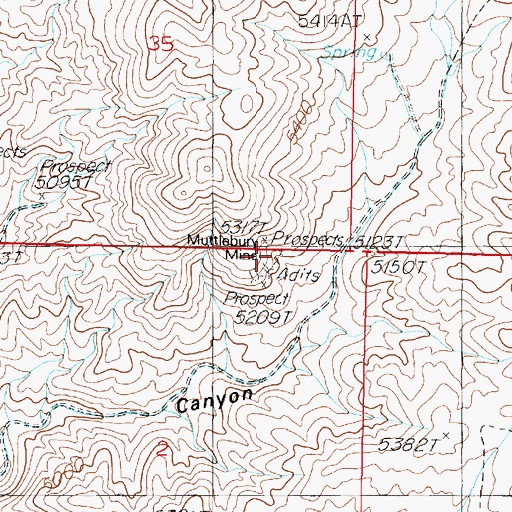 Topographic Map of Muttlebury Mine, NV