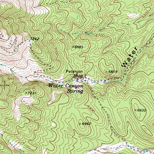 Topographic Map of Peterson Mine, NV