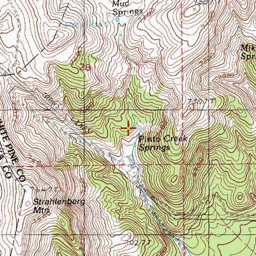 Topographic Map of Pinto Creek Springs, NV