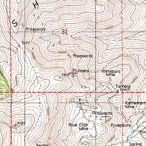 Topographic Map of Pittsburg Mine, NV