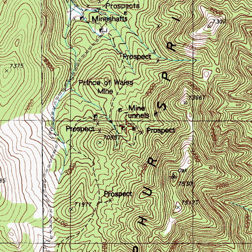 Topographic Map of Prince of Wales Mine, NV